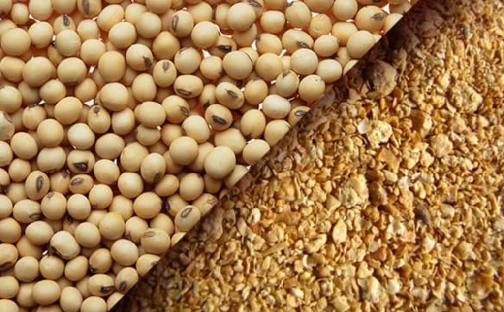 Soybean Meal